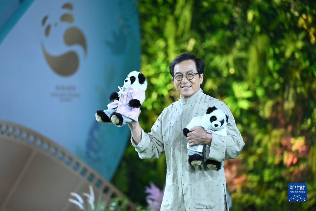 去盛世国际